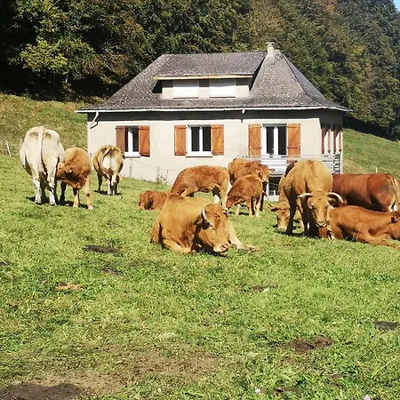 Tourmalet Villa Campan Exterior photo